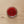 Miyuki seed beads - Shades of red