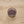 Miyuki seed beads - Shades of purple