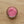 Miyuki seed beads - Shades of pink