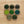 Miyuki seed beads - Shades of green